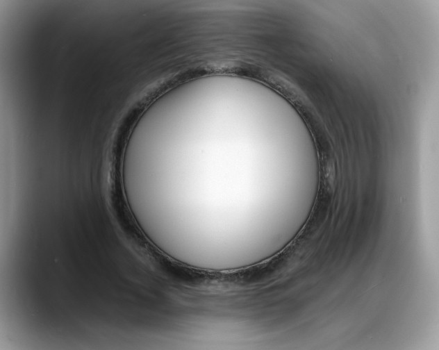 X0000088130732200706111407