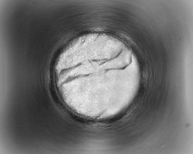 X0000088130734200706111407