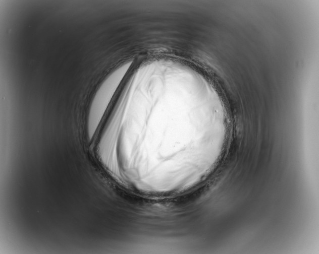 X0000088130737200706111407