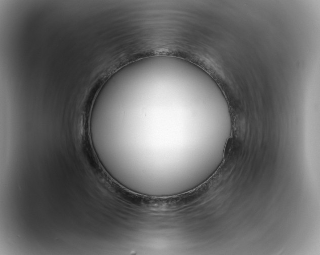 X0000088130740200706111407