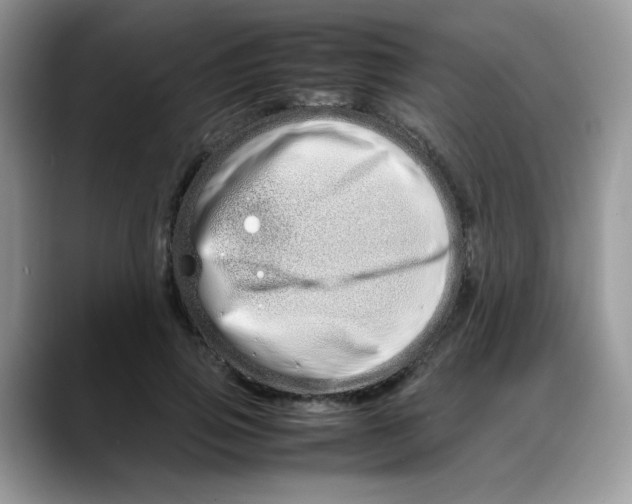 X0000088130741200706111407