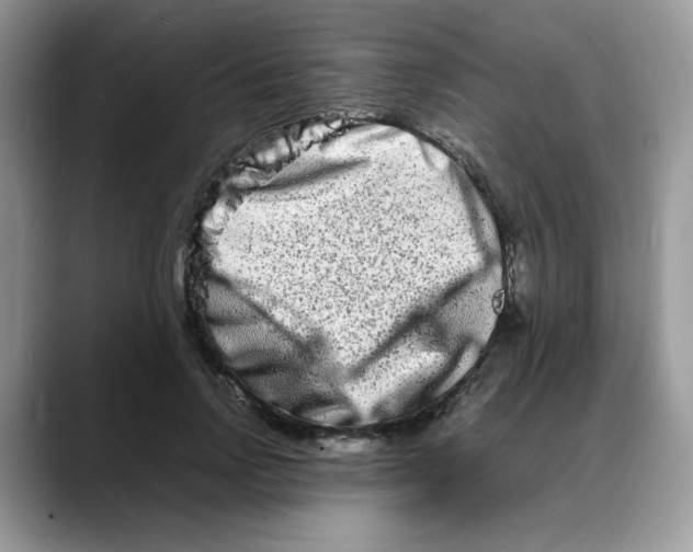 X0000088130742200706111407