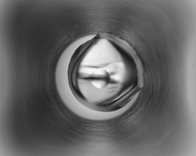 X0000088130744200706111407