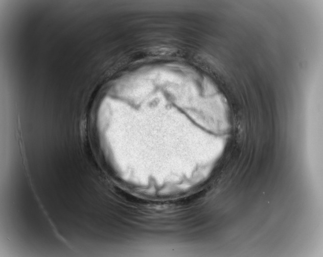 X0000088130745200706111407