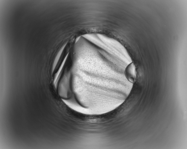 X0000088130746200706111407