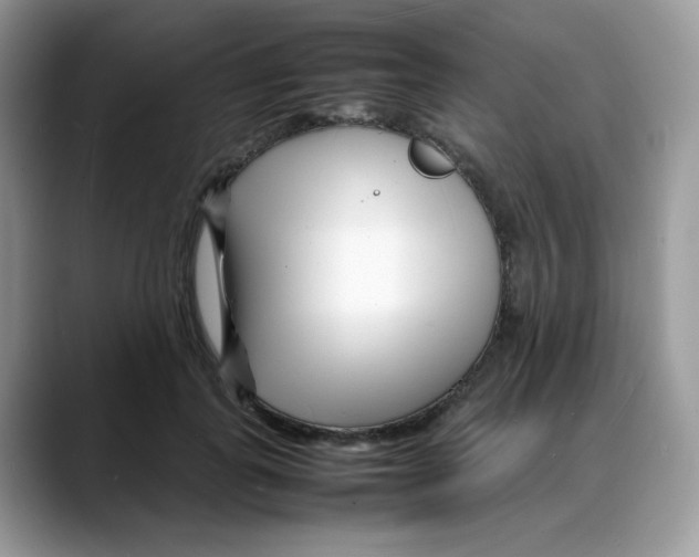 X0000088130747200706111407