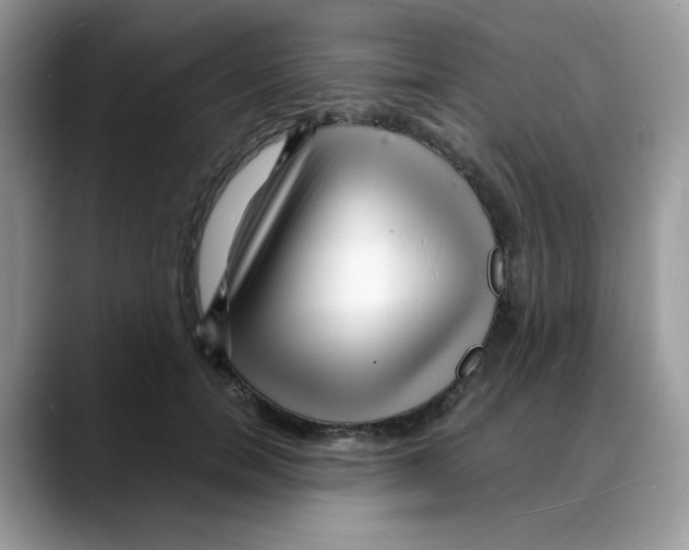 X0000088130750200706111407