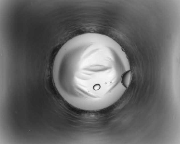 X0000088130751200706111407