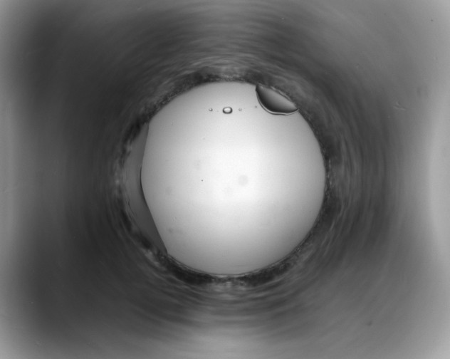 X0000088130752200706111407