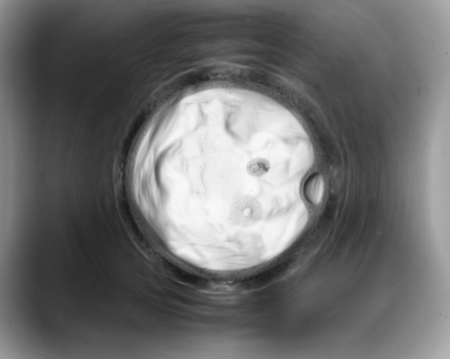 X0000088130753200706111407