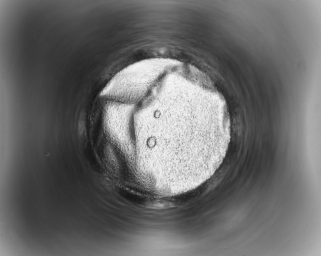 X0000088130754200706111407