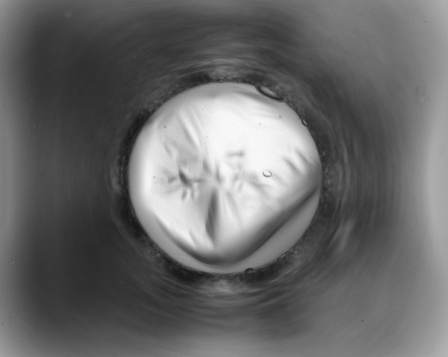 X0000088130755200706111407