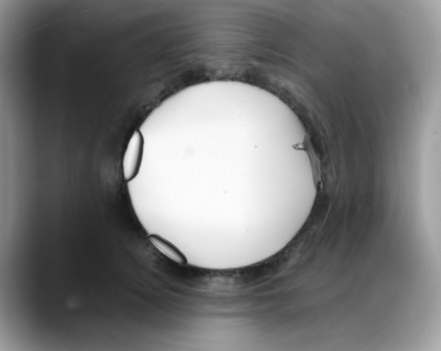 X0000088130756200706111407