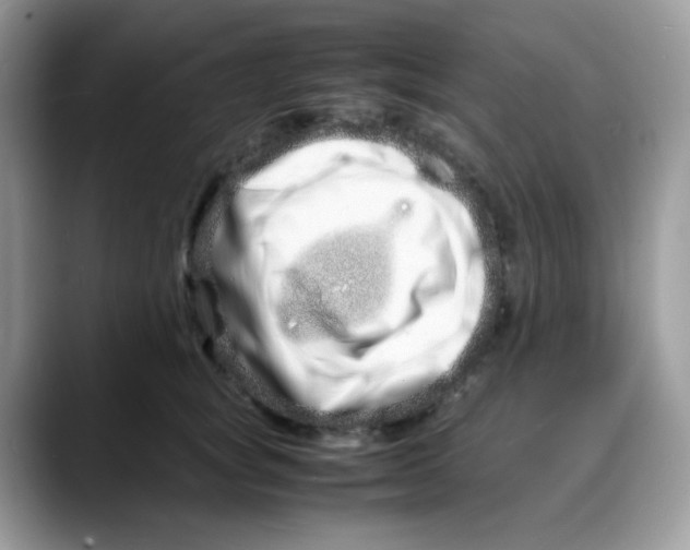 X0000088130757200706111407