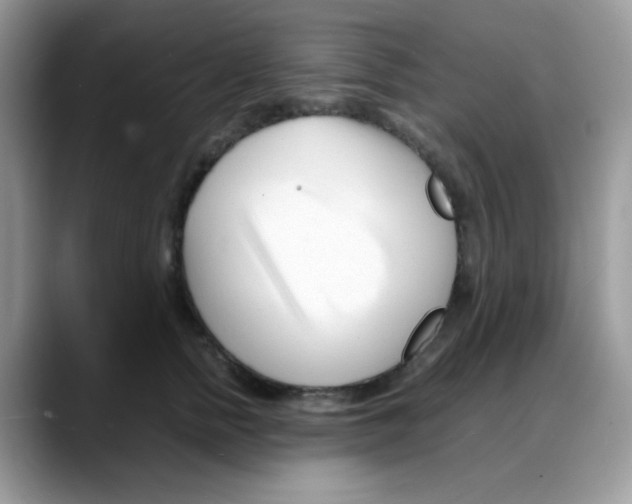 X0000088130758200706111407