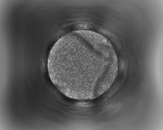 X0000088130759200706111407