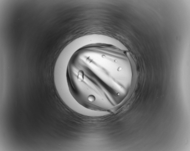 X0000088130762200706111407