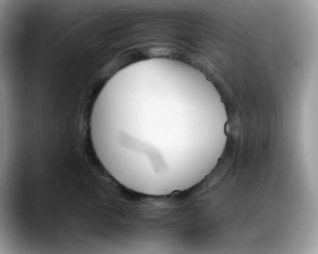 X0000088130763200706111407