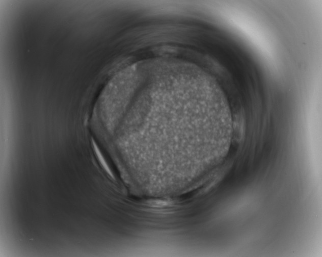 X0000088130765200706111407