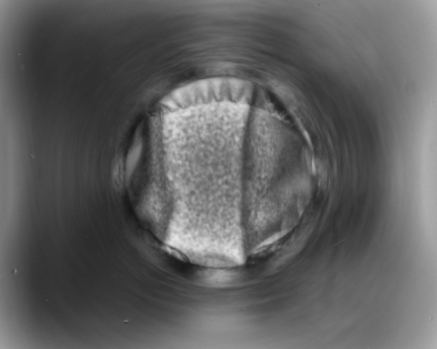 X0000088130766200706111407