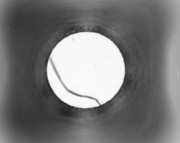 X0000088130769200706111407