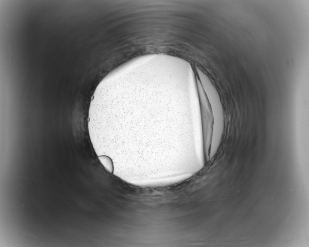 X0000088130772200706111407