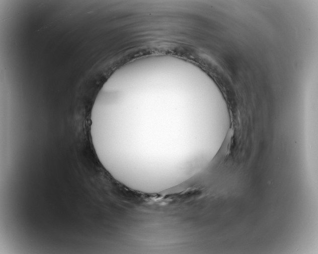 X0000088130773200706111406