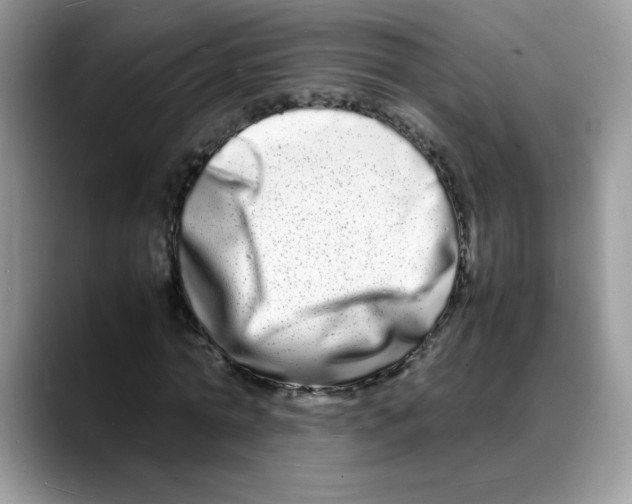 X0000088130774200706111406