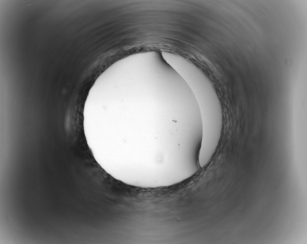 X0000088130776200706111406