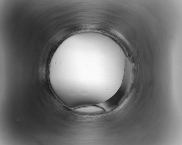 X0000088130777200706111406