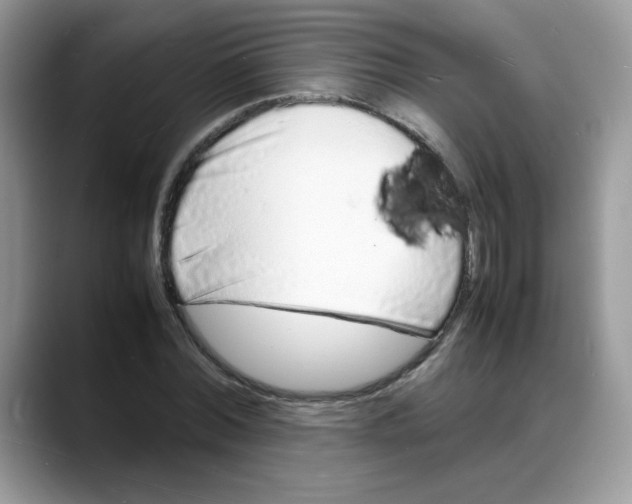 X0000088130780200706111406