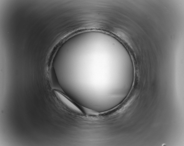 X0000088130781200706111406