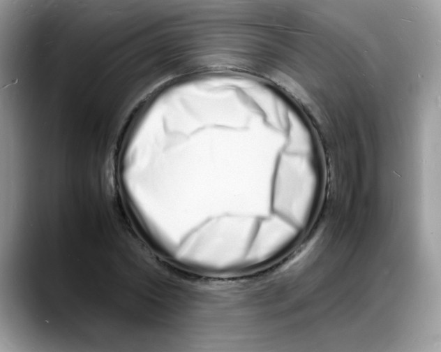 X0000088130782200706111406