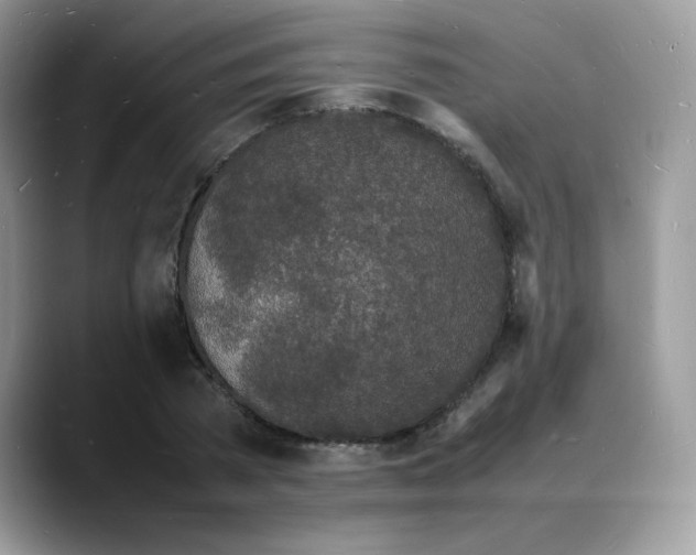 X0000088130785200706111406