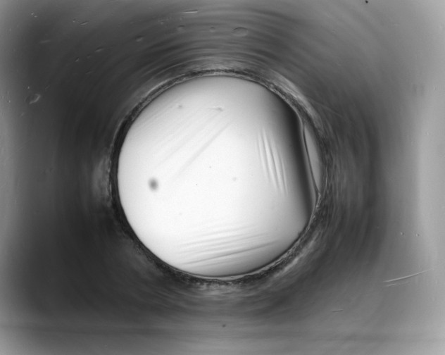 X0000088130786200706111406