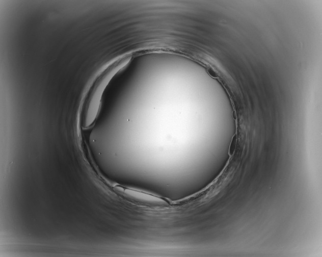 X0000088130788200706111406