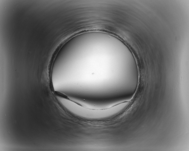 X0000088130789200706111406