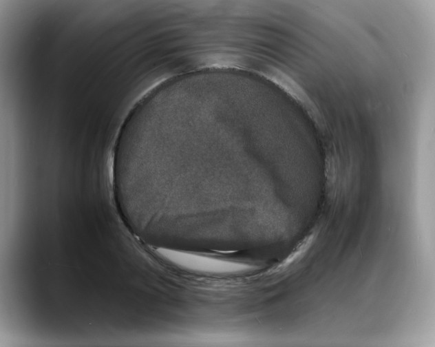 X0000088130790200706111406