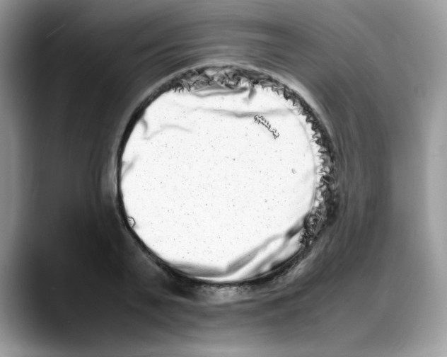 X0000088130791200706111406