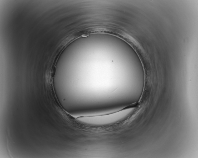 X0000088130793200706111406