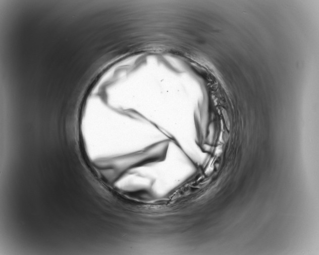 X0000088130795200706111406