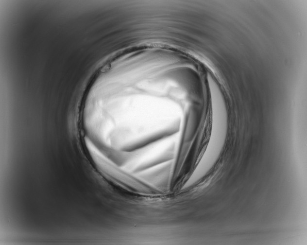 X0000088130799200706111406