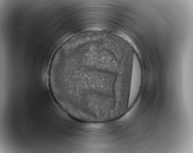 X0000088130802200706111406