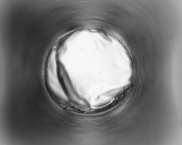 X0000088130803200706111406