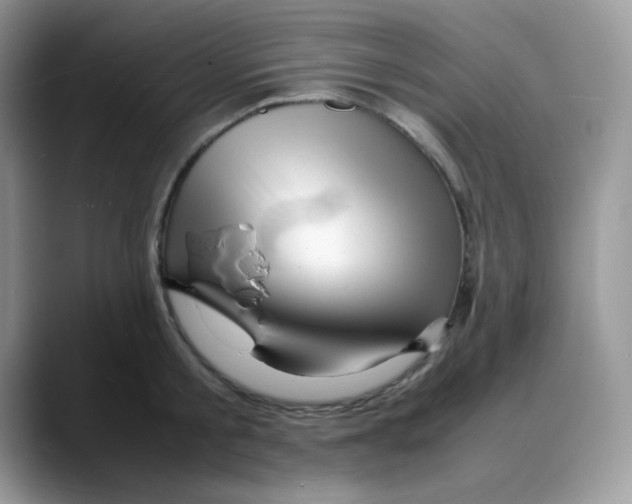 X0000088130805200706111406