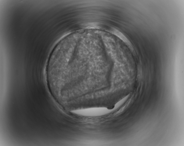 X0000088130806200706111406