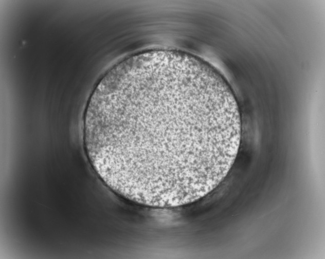 X0000088130807200706111406