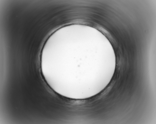 X0000088130808200706111406