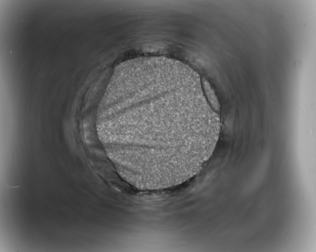 X0000088130817200706111405