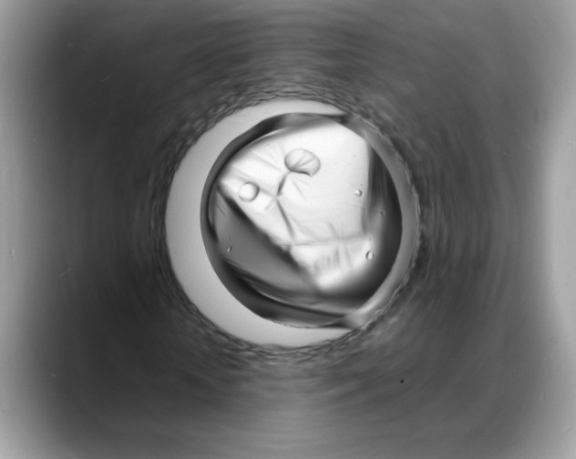 X0000088130818200706111405